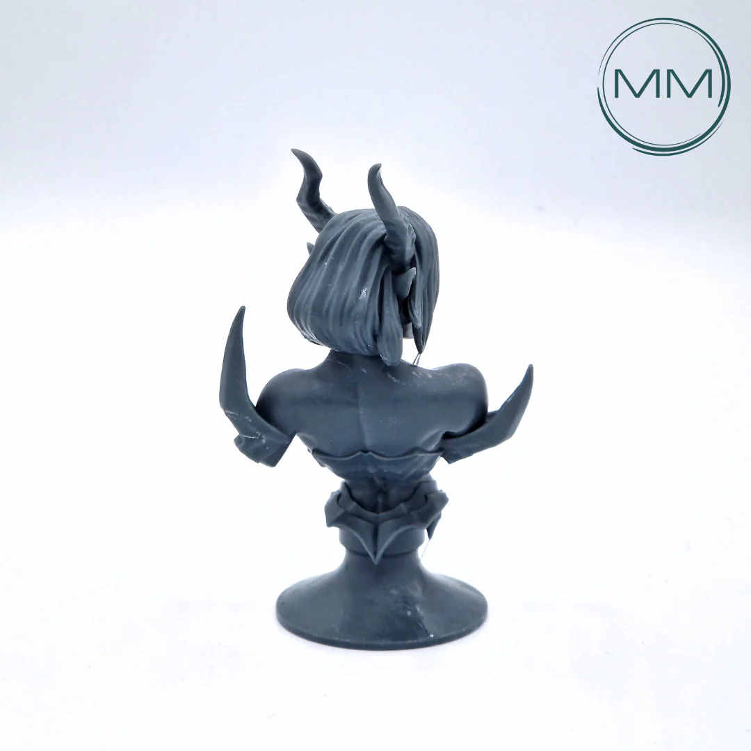 Miniatuur 2