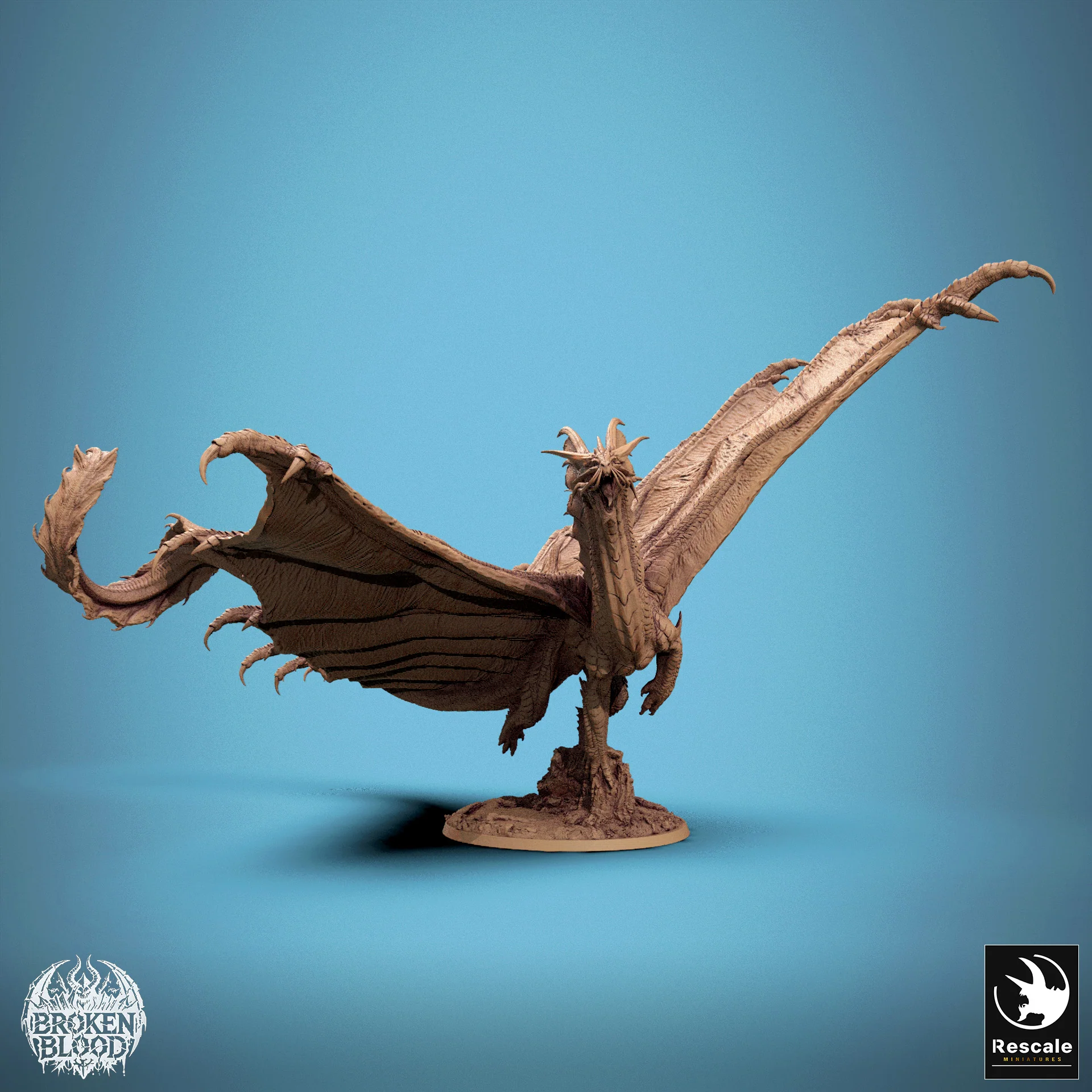 Miniatuur 1