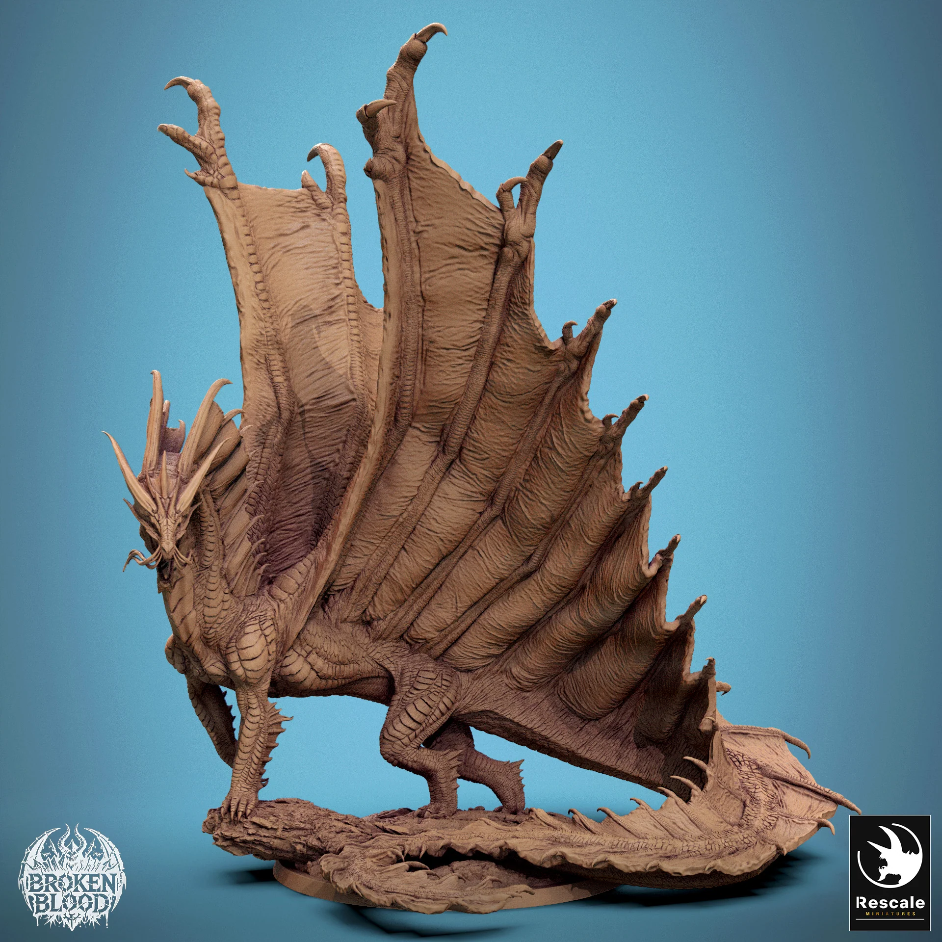 Miniatuur 1