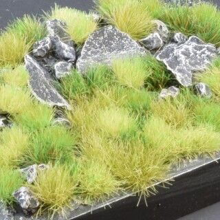 Miniatuur 1
