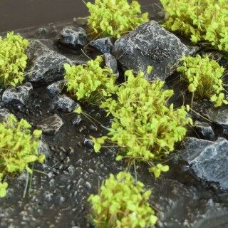 Miniatuur 1