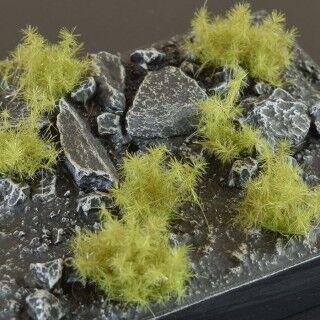 Miniatuur 1